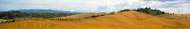 Tuscan Landscape 0382-B-13.jpg